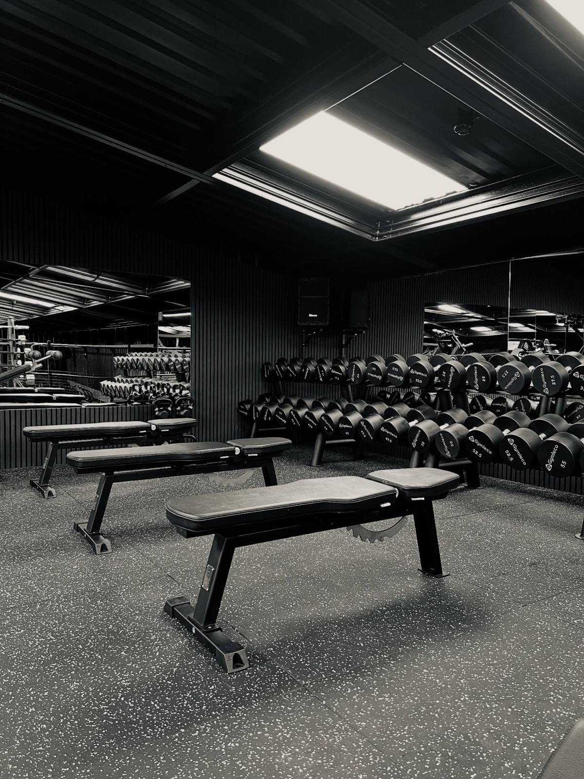 Benches and dumbbell wall in black and white