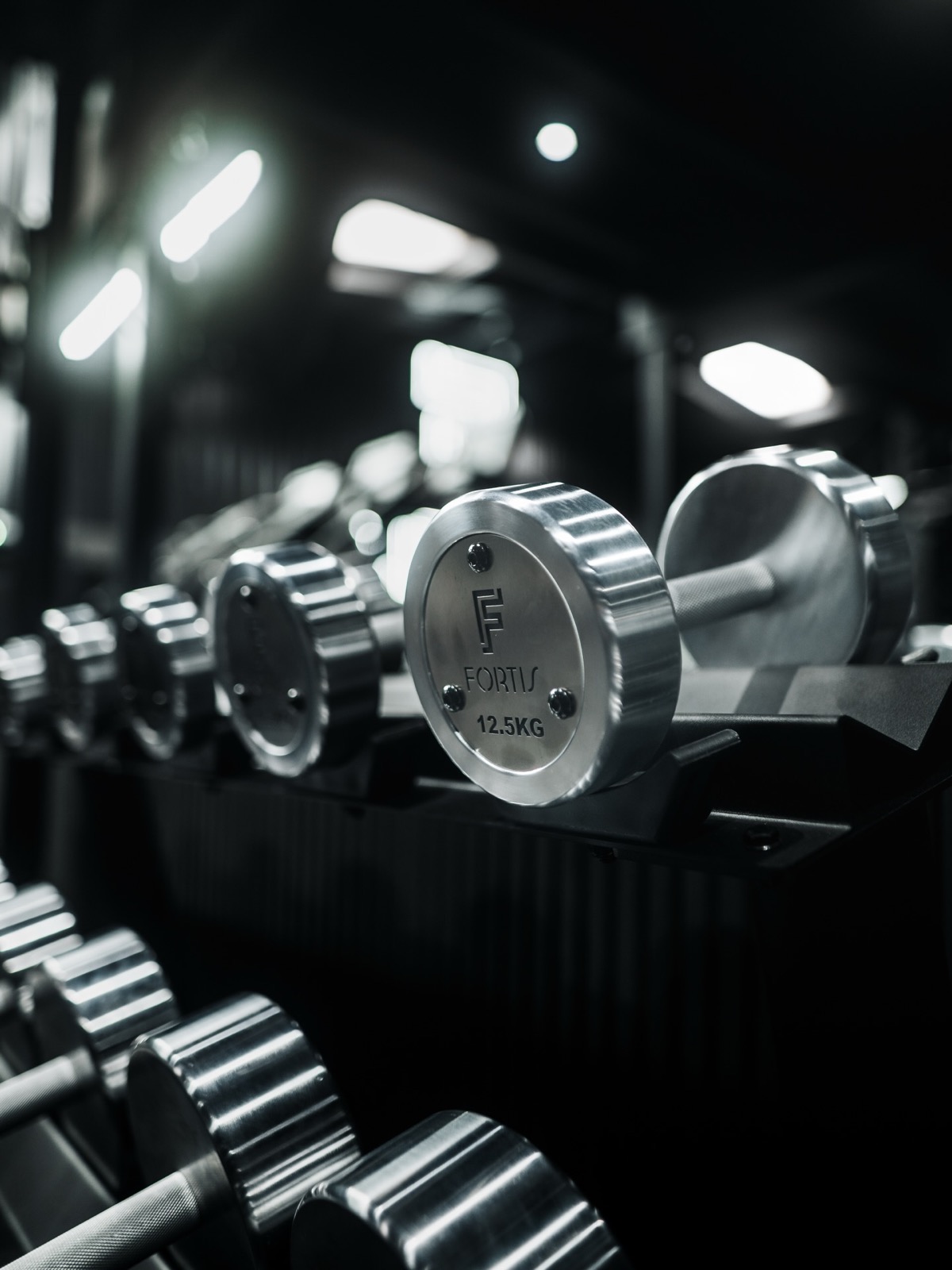 Custom FORTIS chrome dumbbells on the rack