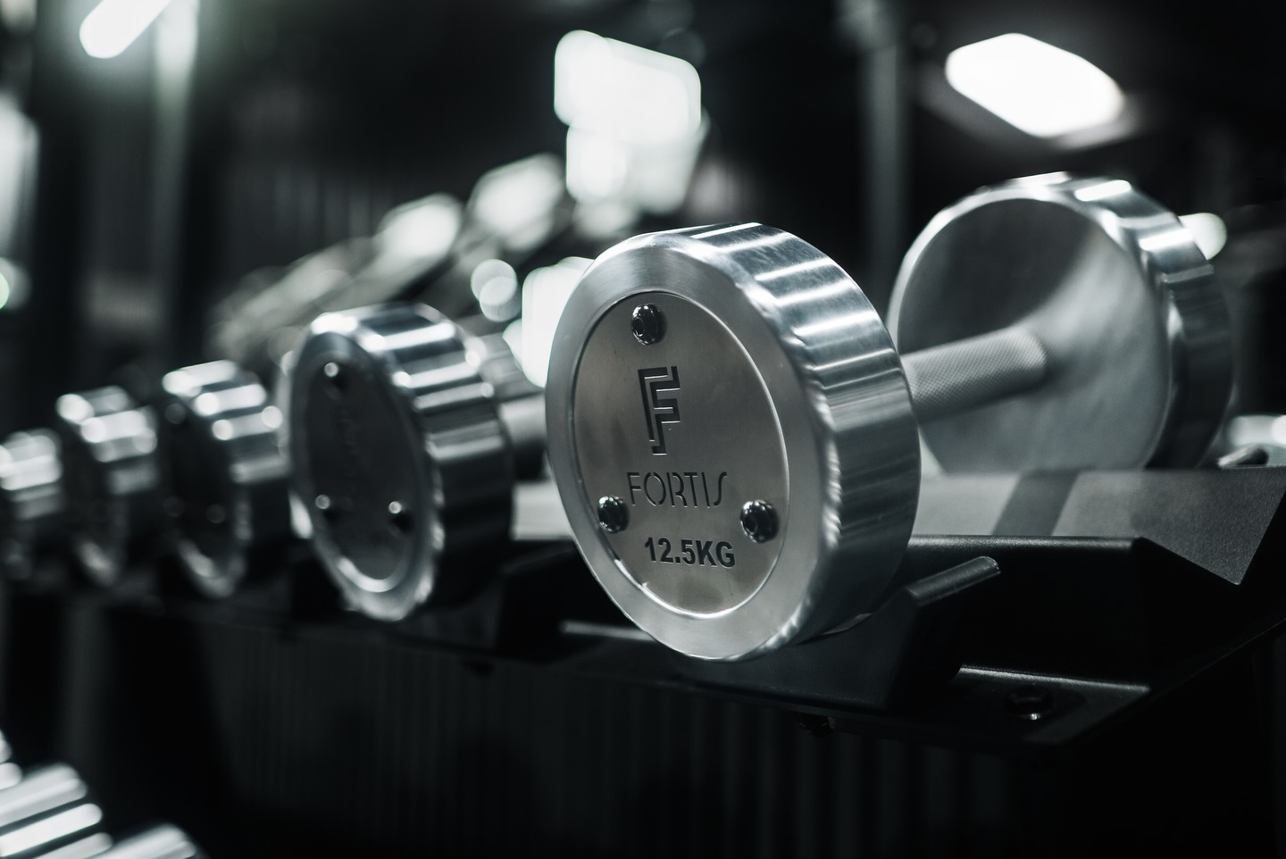 Custom FORTIS chrome dumbbells on the rack