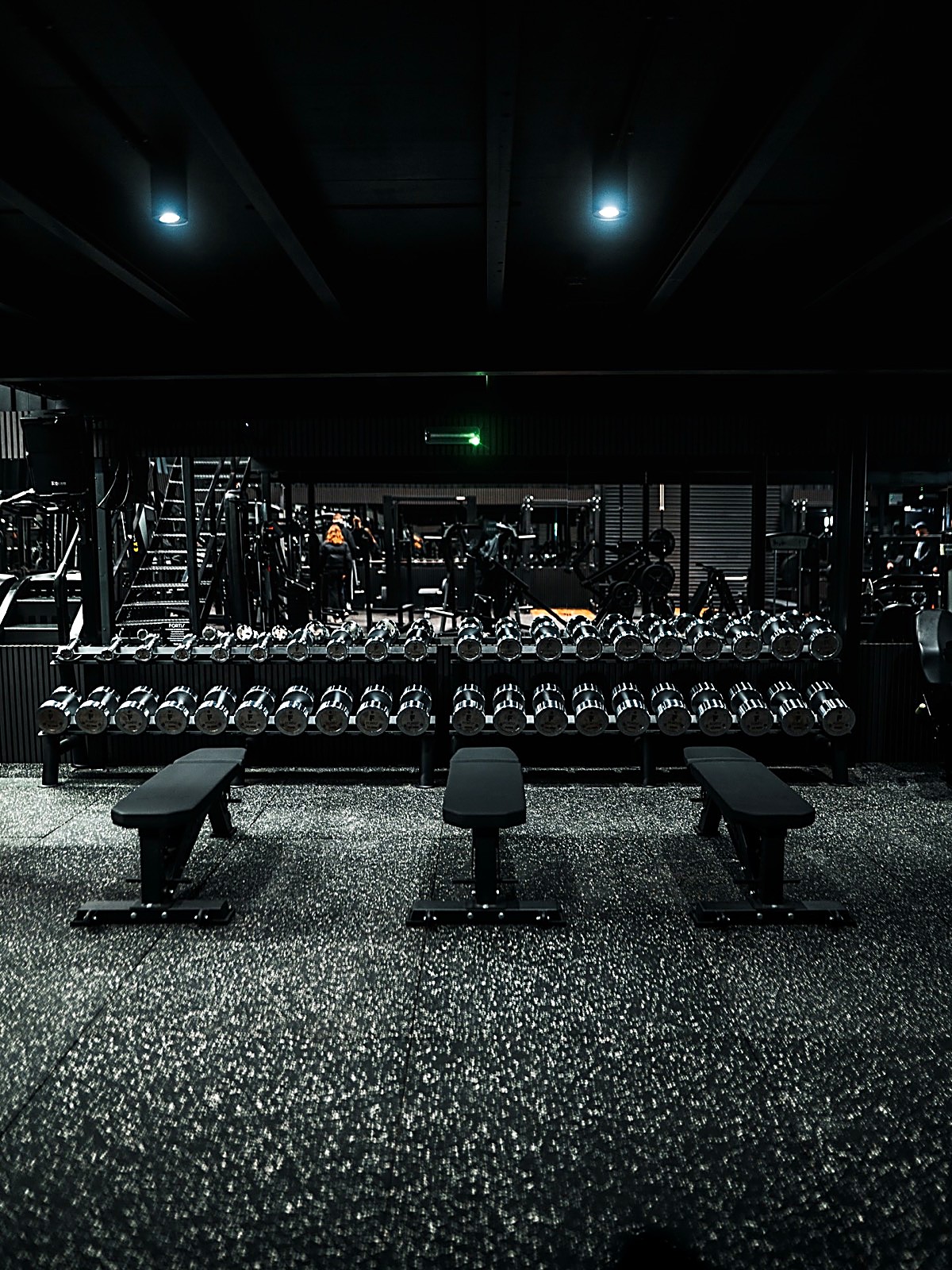 Chrome dumbbell racks and benches at FORTIS