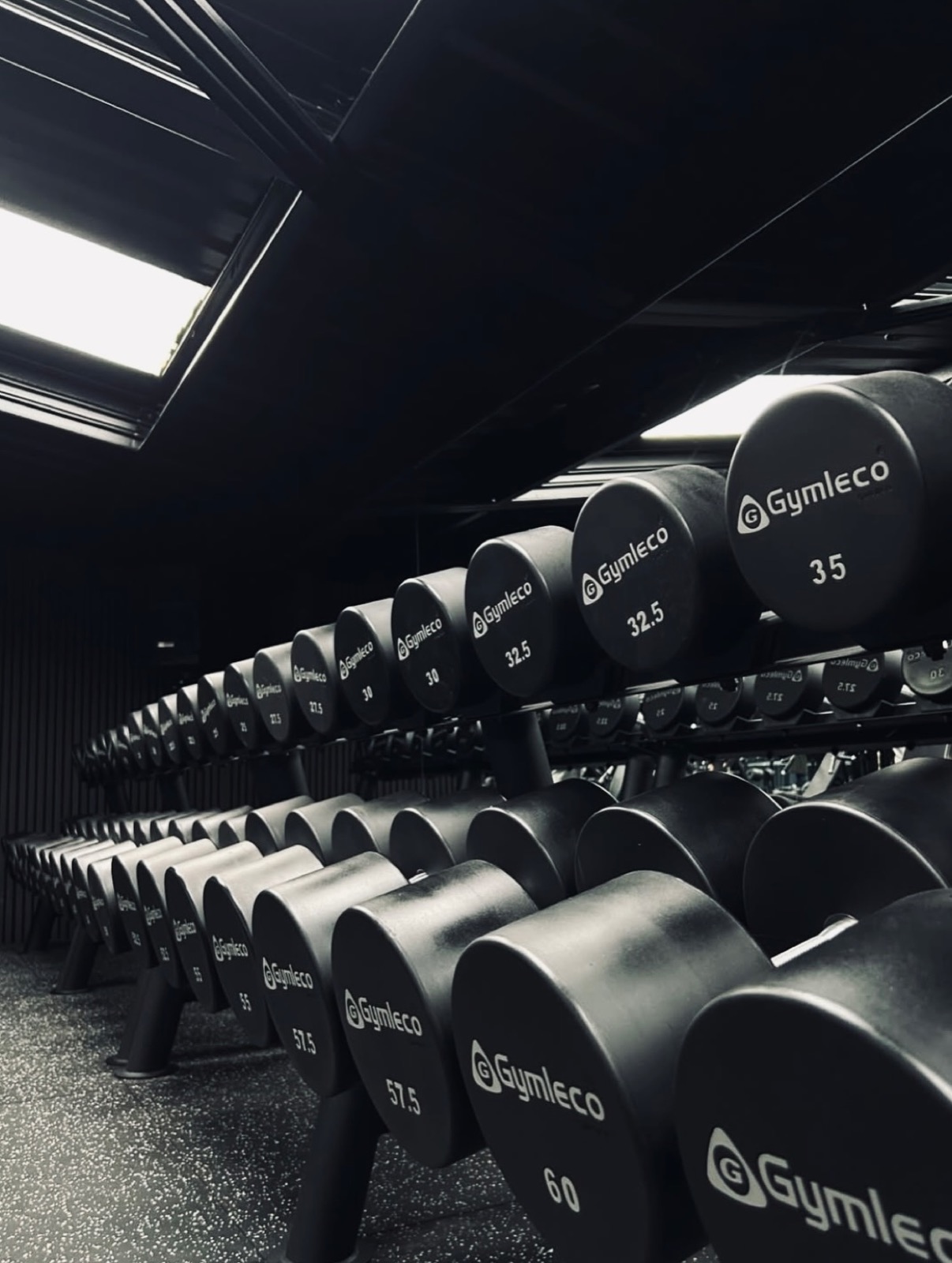 Gymleco dumbbells up to 60kg