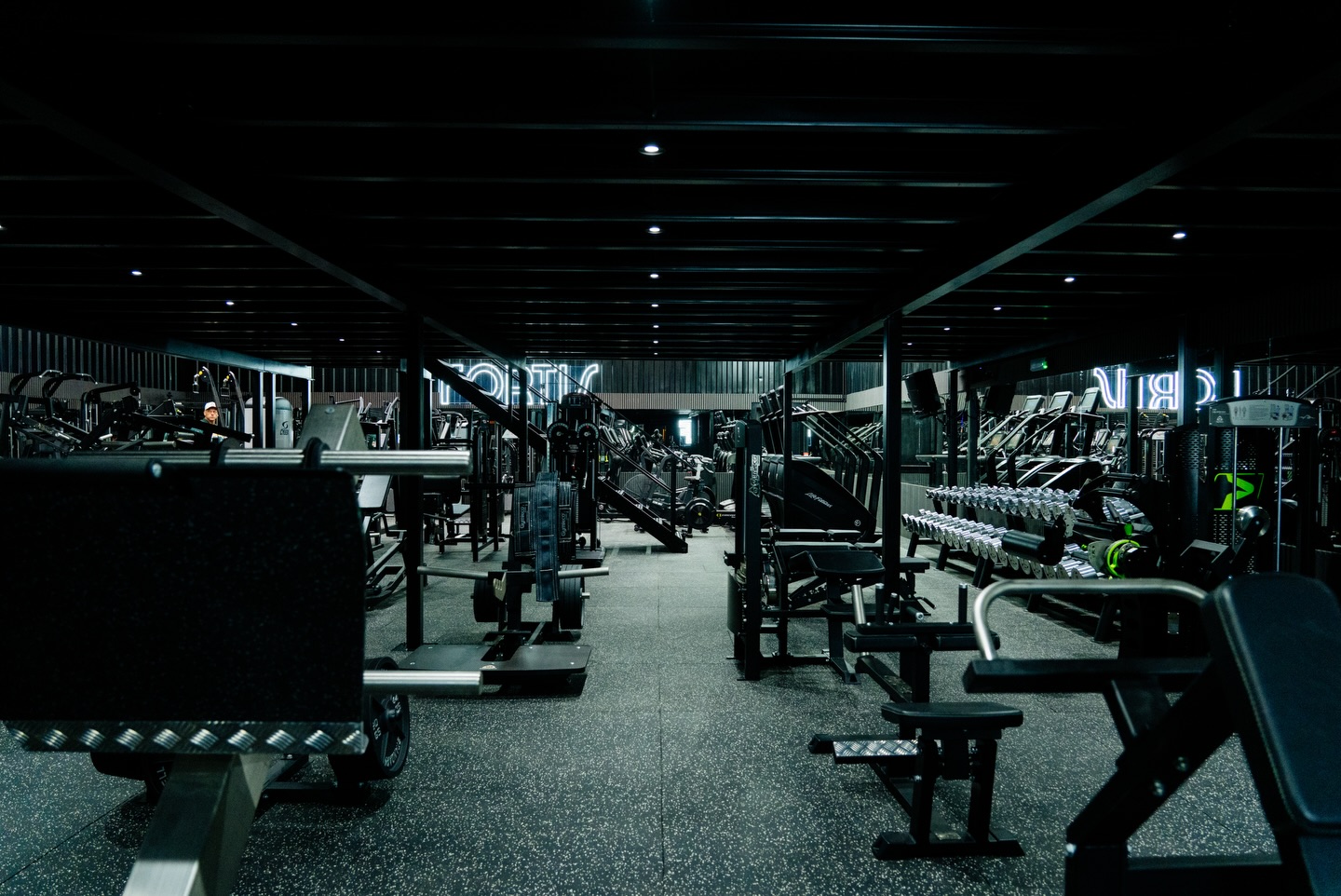Rows of machines and cardio equipment on the gym floor