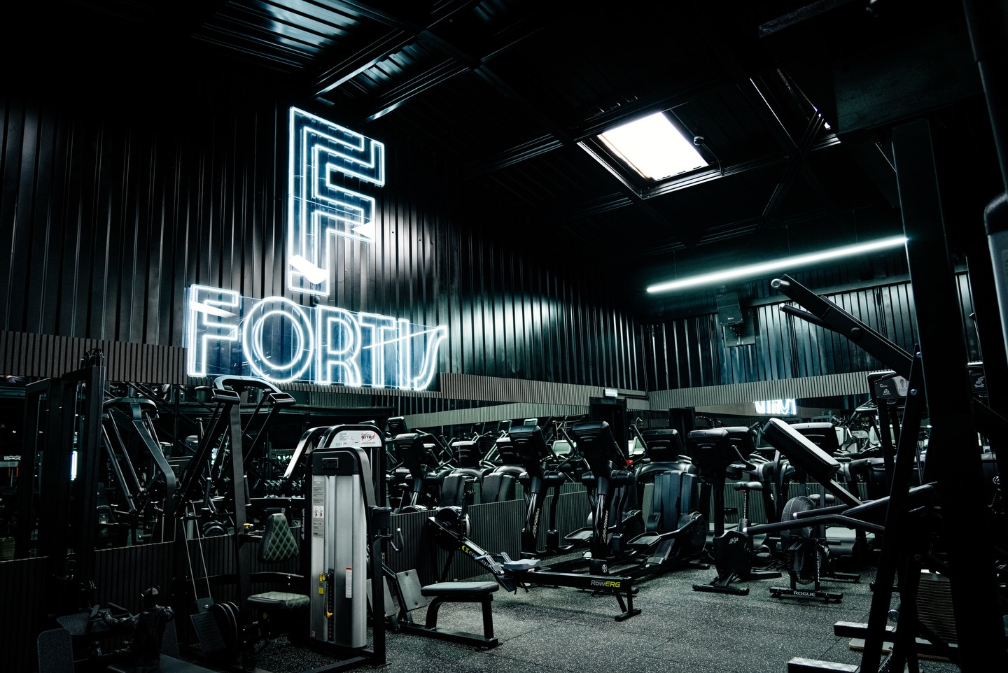 The FORTIS neon sign above the gym floor